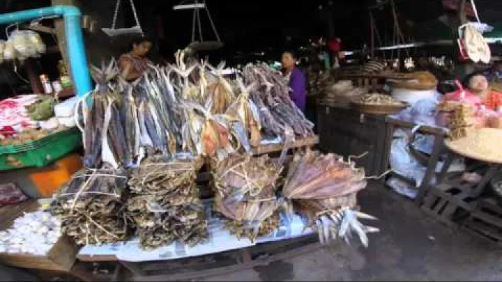 Preview image for the video "ตลาดสด ตลาดปลาทะเล ปลาน้ำจืด ตลาดปลาเค็ม เมืองทวาย พม่า Dawei Market".