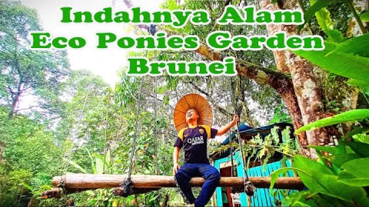 Preview image for the video "Брунейдегі Eco Ponies Garden сұлулығы".