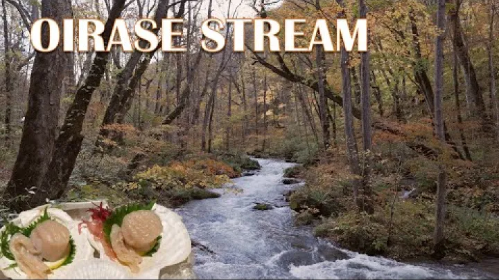 Preview image for the video "🍁 Esplorando la gola di Oirase e il lago Towada | Spettacolari colori autunnali e tour gastronomico di Aomori! 🍣 Torrente di Oirase💦".