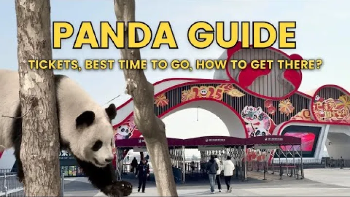 Preview image for the video "Průvodce pandí základnou v Chengdu! Nejlepší doba návštěvy, vstupenky a co očekávat v provincii Sichuan v zemi Čína".