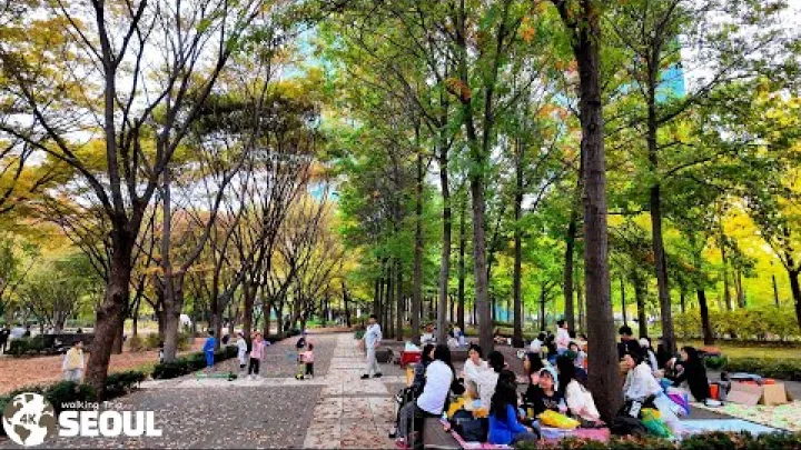 Preview image for the video "Seoul 숲, 가을 단풍 •[4k] Seoul, Sør-Korea".