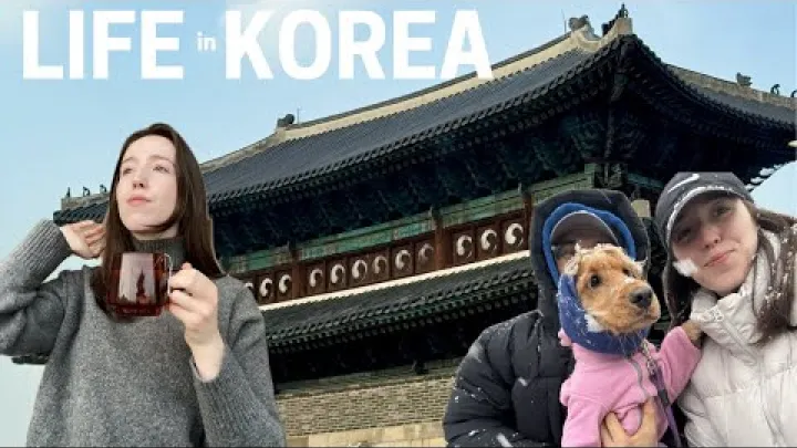 Preview image for the video "दक्षिण कोरिया'da Kış Vlogu: Kar Günü, Kafeler ve सुवान'daki Hwaseong Kalesi".