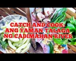 Vlog 025 Catch and Cook: Long Line Fishing in Cadimahan River