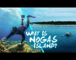 Nogas Island Marine Sanctuary Anini-Y Antique