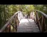 MANGROVE OF IBAJAY AKLAN//RELAXING AND PERFECT PLACE FOR ALL OCCASIONS//PROUD AKEANON