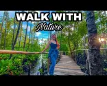 Best Place to Relax with Nature | Bakhawan Eco Park | Kalibo Aklan