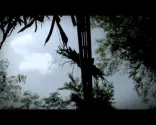 PUREZA: La storia dello zucchero di Negros (Trailer completo)