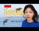 [印度尼西亚] 雨季出海奇迹，在巴厘岛罗威纳遇见成群海豚的一天 🐬🌊