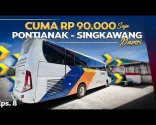 SAMO 90.000 Rp ‼️ Putovanje autobusom Damri od Pontianaka do Singkawanga, Калимантан, Индонезија