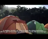 بوگانی نانی وارٹابون نیشنل پارک، انڈونیشیا، سولاویسی آئیں (کیا آپ کبھی بوگانی نانی وارٹابون نیشنل پارک گئے ہیں؟) - حصہ 1