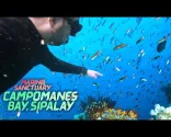Freediving al Campomanes Marine Sanctuary di Sipalay