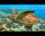 Tour di Dumaguete, Valencia e Apo Island | Guida di viaggio