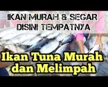 Hasil Laut Biak Melimpah | Pasar Ikan Tradisional di Biak Papua Harganya Murah-Murah
