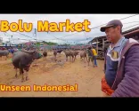 دنیا کی سب سے بڑی بھینسوں کی منڈی کے اندر 4K واک | پاسار بولو، تانا توراجا سولاویسی
