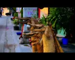 Prechádzka v Haiphong | Vietnam