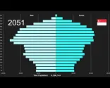 新加坡人口金字塔 1950-2100