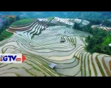 Cestovanie po Ha Giang_Hoàng Su Phì v období zaplavovania polí - 29. máj 2024