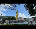 泰國合艾宋卡 🇹🇭 市政公園的金佛