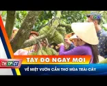Посета воћњацима у Цан Тхо током сезоне воћа | Цан Тхо ТВ