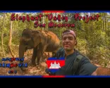 Elephant Valley Project in Kambodscha | Senmonorom: Das wilde Ostkambodscha - Mondulkiri 🇰🇭