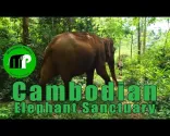 Kambodschanisches Elefantenschutzgebiet || Reise-Vlog