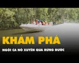 Vožnja kanuom velikom brzinom kroz šumu mangrova, istraživanje rta Ka Mau