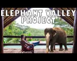 Das Elephant Valley Project Erlebnis | Senmonorom, Kambodscha
