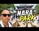 Naran Unescon maailmanperintökohteisiin tutustuminen | Tōdai-ji-temppeli ja Kasuga Taisha -pyhäkkö 🇯🇵