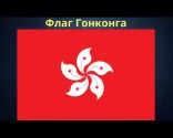 香港区旗。