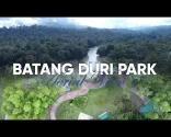 MAVIC MINI 無人機拍攝 - 巴當杜里公園空拍畫面 | 汶萊 淡布隆县