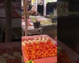 PASAR NUMBEI, OECUSSI - ØSTTIMOR