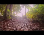 電影感遠足Vlog：探索巴托伊山、佩拉達揚森林保護區、淡布隆县、汶萊