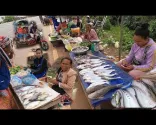 Orang Laos menjual ikan Sungai Mekong di pasar tepi jalan Laos Selatan