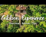 THE GIBBON EXPERIENCE, LAOS | Panoramica del Tour Classico di 3 Giorni (+ Recensione Onesta e Consigli)