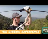 THE GIBBON EXPERIENCE