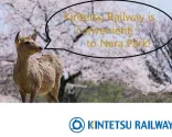 Kintetsun rautatie on kätevä tapa päästä Naran puistoon!